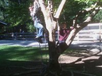 IMAG1707  The boys love to play in this tree. Sam has rigged up a great pulley system to hoist himself up the tree.