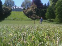 IMAG1718  The labyrinth was fun.