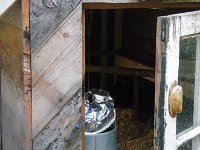 IMGP6471  And somebody (Jersey) is in the last nesting box, completely and utterly, singularly, without blinking, focused on being broody - keeping eggs warm. This just started last night - she and HollyRamona were in the same nesting box together!