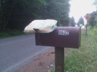 IMAG1779  This is how our mail often arrives, perched, in the rain. We are not sure what to think about our sweet mail lady. Sometimes it's in the woods.