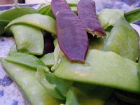 IMGP6754  Peas from our garden! The purple ones are from a seedline developed by Capuchin monks in the 1500s. I couldn't resist.