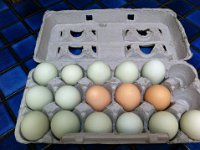 eggs  Mom enjoyed seeing all the colors :)
