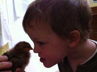 photo 4  Beak to Beak, Ben says.