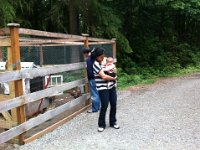 Lake Crescent