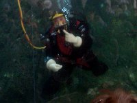 IMAG1868  Now in Seattle for the aquarium. This scuba diver was really good.