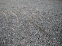 IMGP6919  Yup, I'd say some are parallel! He likes the 6 foot long skid marks.