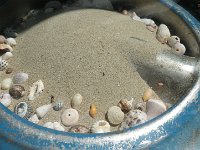 IMGP6964  Mom and I found this old keg on a curb in Coronado and designed deck decorations around it. I still love it. We had glass cut for the top. And here I've put our Kailua sand and shells that Dave and I collected on beach walk dates. It looks like a dune. Love it. So many memories tucked away in those grains of sand.