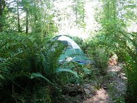 Campout