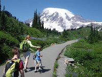 Mt. Rainier