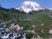 IMAG2113  A cell phone snapshot of the trip to Mt. Rainier.