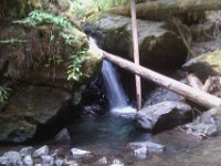 IMAG2184