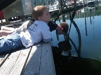 IMGP7200  These moments of peace are so cherished. I love being with these boys. Sam's nose is almost into the water. They really liked looking down in there and seeing all kinds of fish and sea stars, and especially crabs!