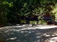 driveway  The finished front area after 17 cubic yards of gravel, and three transplanted ferns!