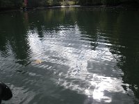 IMGP7670