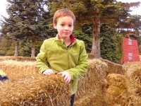 IMG 20121021 150440  In the hay bale maze!