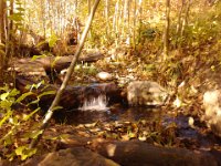 IMG 20121023 103240