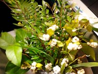 IMG 20121024 130734