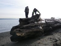 Fort building Fay Bay