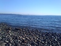 Pic-01032013-002  Another sunny day spent by bike and foot down at Manitou Beach. That is Seattle in the distance.
