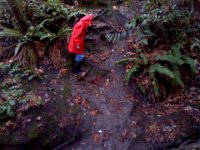 Pic-12012012-008  Sam scaling the side of the waterfall ravine. A bit slippery!
