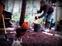Pic-12172012-007  Steve chopping wood to make a kindling bin.