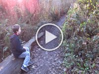 Christmas 2013 002  Silly family walk in the woods :) This movie is automatically recorded in MP4, so it should be iPhone-friendly.