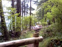 Pic-06192013-008
