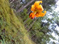 Pic-06192013-015
