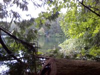 Pic-06192013-018