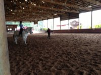 IMG 3551  Dressage lesson with Janet Grunbok - a very experienced trainer who I am thankful to have found.