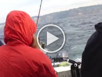 fishing movie