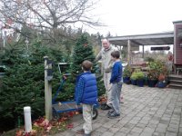 IMGP0215  Picking out a Christmas tree!