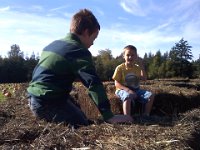 Pic-10052013-005  Boys both not feeling well but still able to go pick out pumpkins and enjoy the hay maze.