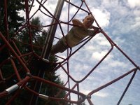Pic-09022013-006  Taking a nap :) We prayed together for their school year while up there at the top of the spider web.