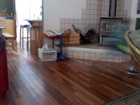Pic-09042013-002  Ben LOVES his new blue shoes. He runs SO fast in them that he is a blur! Can you find him?