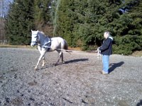Pic-01032014-003  Steve longing Emmy before I ride. Gorgeous day!