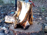 Pic-01192014-001  VERY gnarly piece of wood to chop!