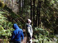 DSC00775  Now we're out on a hike to some falls in Quilcene.
