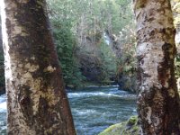 DSC00779  The river near the falls.