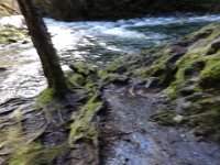 DSC00797