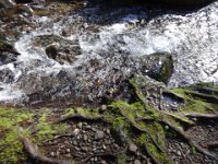 DSC00803