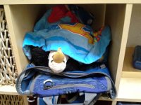 20140617 112359  This is how I found Grownup Eagle this morning, Ben's last day of school. All tucked in!