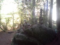 20140708 100803  Wish I had a better camera and more time to snap pictures while mountain biking with boys! They go too fast! Sunlight gorgeous in woods.