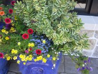 20140714 134733  Again - planter envy!!!