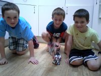20140722 183155  Sam, Stanley and Harris built up a snake robot which is attacking me!