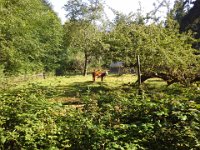 20140726 083902  Isn't this the most pastoral scene?