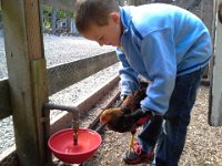 20140902 172047  Learning about the big girl waterer.