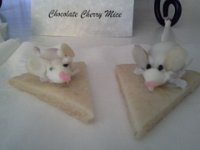 20140912 112750  At an officer spouse social - these were made by a Supply Officer's wife - she is INCREDIBLE! So cute! Cherries in white chocolate with almond sliver ears! I brought some home for the kids.