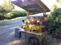 20140913 095915  Out on a jog. This is near our home. They have a big dahlia garden and recently addded this cute cart.