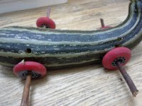 20140920 123133  Ben and I decided to enter a zucchini race at the last minute. We had a little trouble with the axles - not exactly in the same plane initially, as you can tell!